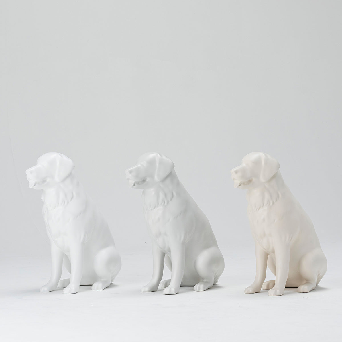 PROPS|ゴールデンレトリーバーA