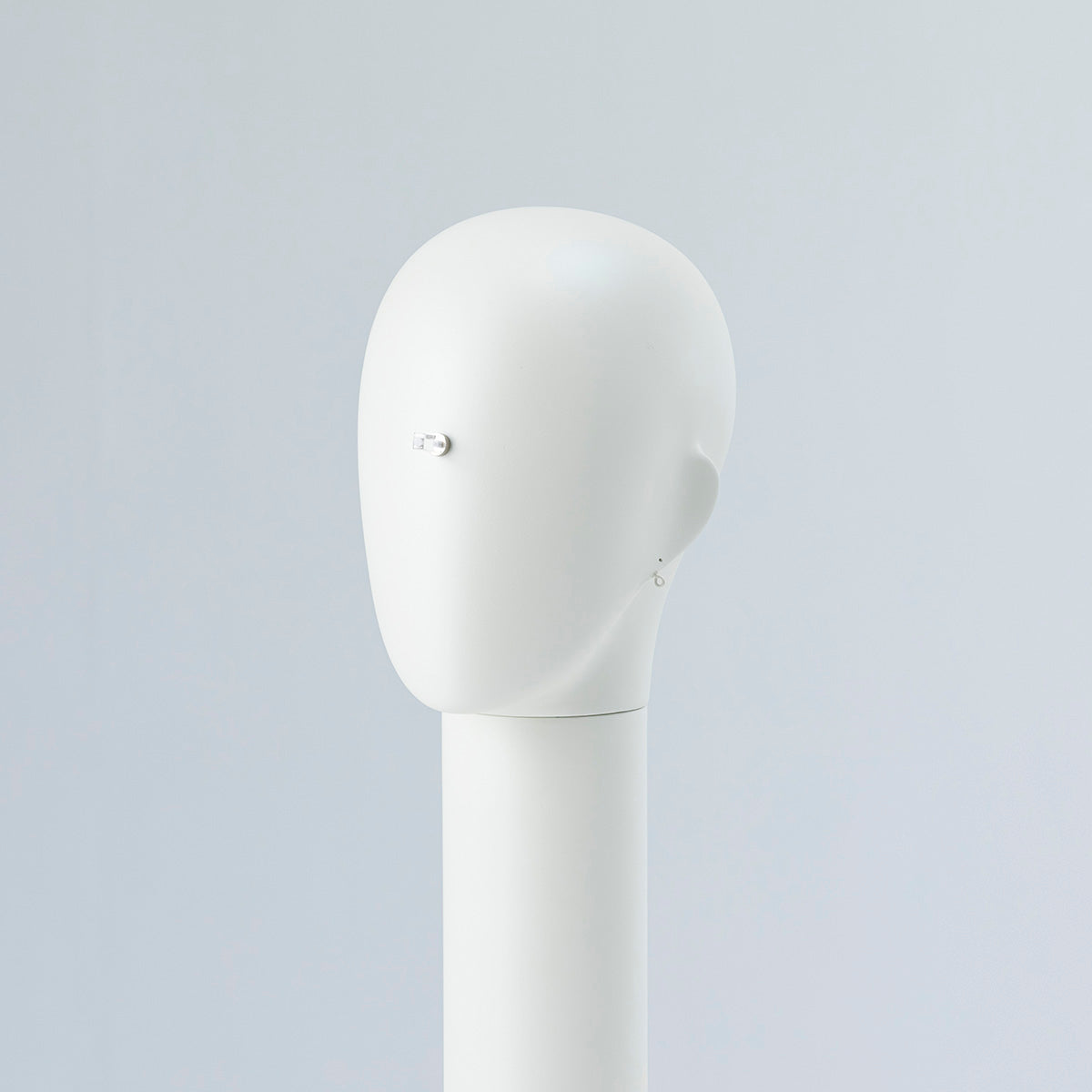 Neue accessory｜エッグヘッドツール大PWT029A