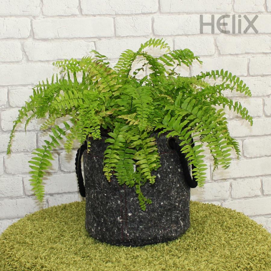 BASKET No.02 (M) by Helix