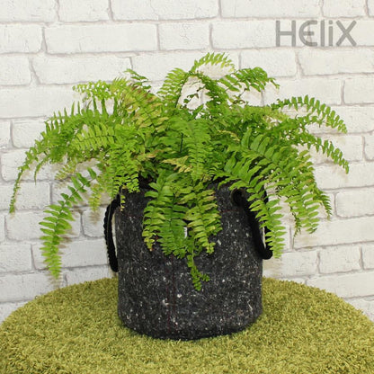 BASKET No.02 (M) by Helix
