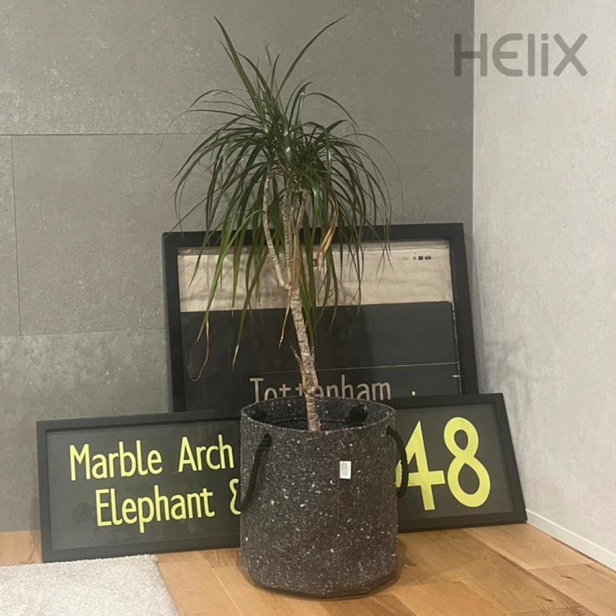 BASKET No.02 (L) by Helix